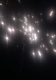 　About The “ Lumière “