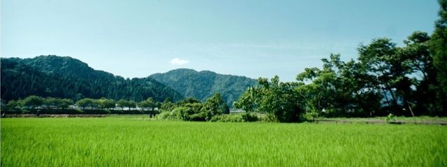 ｵﾄｺﾁｬﾝﾀﾞﾖｯ!さんの壁紙画像