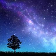 夜に咲く夜桜💫さんのアイコン画像