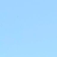  こんぺいとさんのアイコン画像