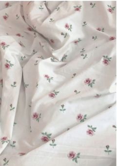 とある探偵助手の事件簿