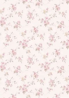     拝啓 . 人殺しの君へ 、   