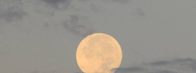 霧　夜中さんの壁紙画像