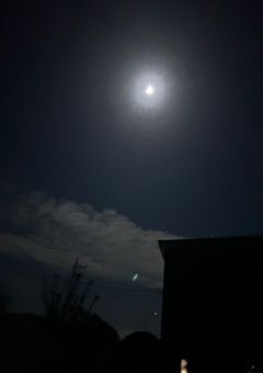 あの夏、君は月と共に消えた。