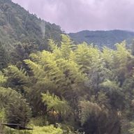 ゆきさんのアイコン画像