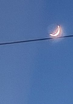 モノパしてみた!?【mnps反応集】