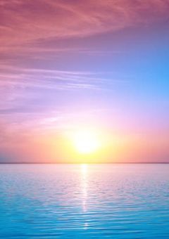 人間なんて、、、