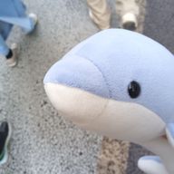 ミカンさんのアイコン画像