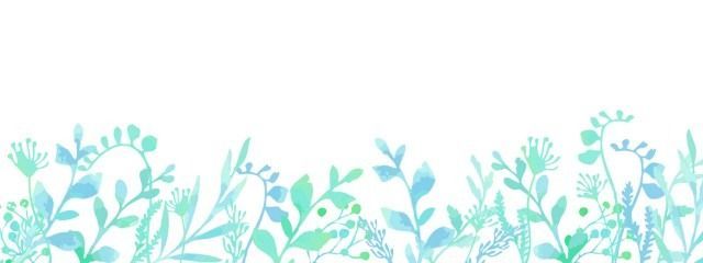 多肉植物さんの壁紙画像