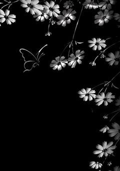 【 stpr 】高 嶺 の 花 は 彼 ら の 手 に _