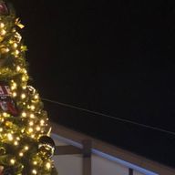 てんぷら🍤👼@子分さんのアイコン画像