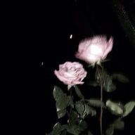 s/oさんのアイコン画像