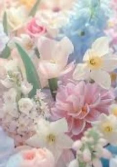 Journey to Bloom Vote Box