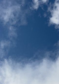 oiのぷろふ