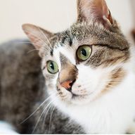 雪兎さんのアイコン画像