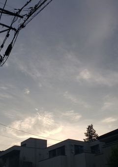 今この世で君だけ