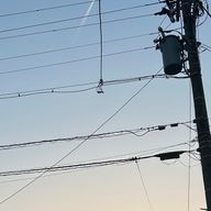 しお‪·͜· ❤︎‬さんのアイコン画像