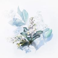 翡翠さんのアイコン画像