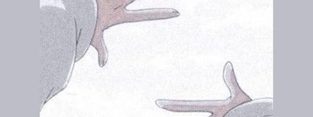 ことはさんの壁紙画像