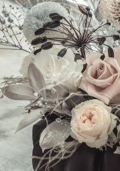 ꕤ︎︎ 無愛想な兄弟が出来ました。ꕤ︎︎