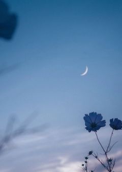 rkrn / 令和の子供が室町時代で生きていけるとでも?