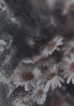 時間に逆らう世界で  何回目かのやり直しを