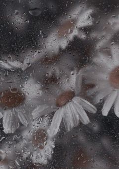 崩れた世界でも 君たちには息をして欲しかった