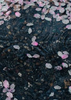 あわよくば  愛しいあの人の元へ