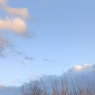 涼風瑠唯さんのアイコン画像