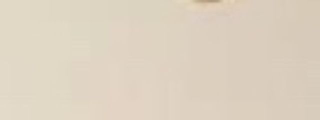 せいなさんの壁紙画像