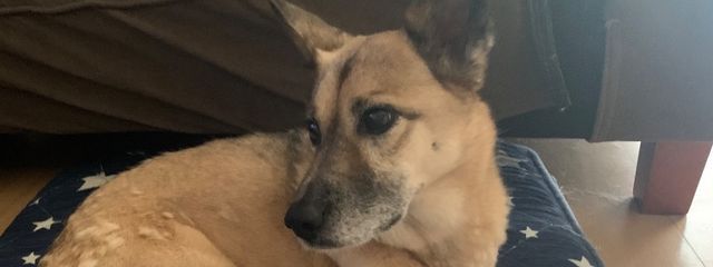 藍流　空🌙☁️さんの壁紙画像