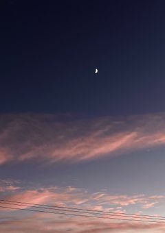 今日も君は月夜に輝いている