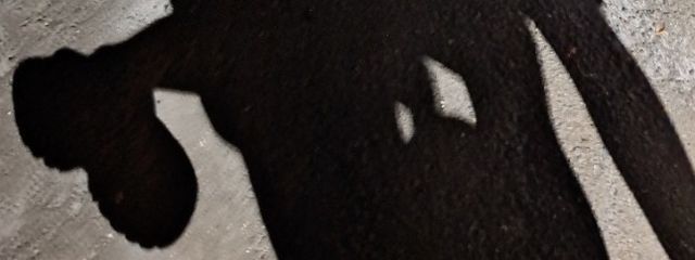 ﾐ/∟た-/ 🦪さんの壁紙画像
