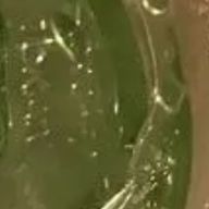 雨田　聖奈のサブさんのアイコン画像