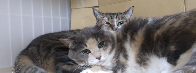 亮平さんの壁紙画像