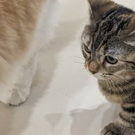 亮平さんのアイコン画像