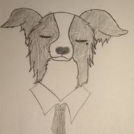 ほっとネコティーさんのアイコン画像