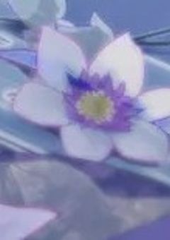 サブ垢での相互フォロー限定会話