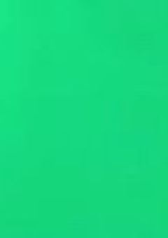   　💚𝑮𝒖𝒊𝒍𝒕𝒚!!!!