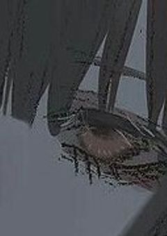 騙されているのは？