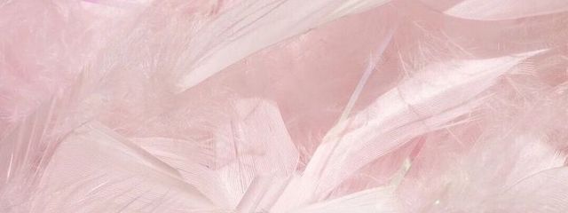 _bloomskさんの壁紙画像