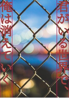 君のいる世界で、俺は消えていく。