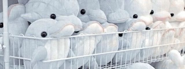 失調さんの壁紙画像