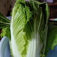 ゆいさんのアイコン画像