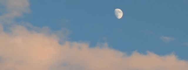 梅桜 心菜さんの壁紙画像