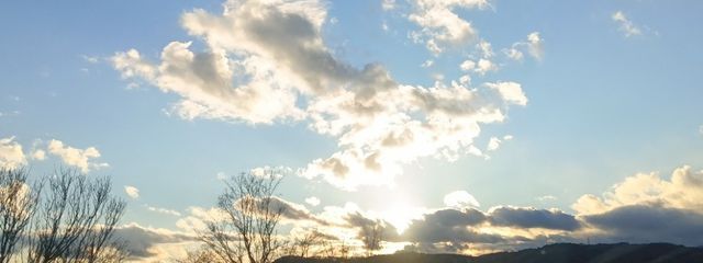 harusameさんの壁紙画像