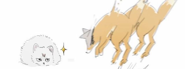 雪さんの壁紙画像