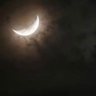 紫音さんのアイコン画像