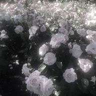 Rinaさんのアイコン画像