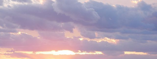 Skyさんの壁紙画像